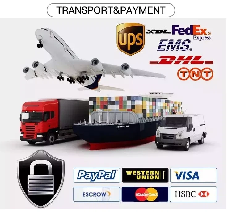 freight and payment freight and payment